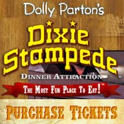 Myrtle Beach Area Attractions - Dixie Stampede